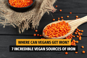 Where can vegans get iron?