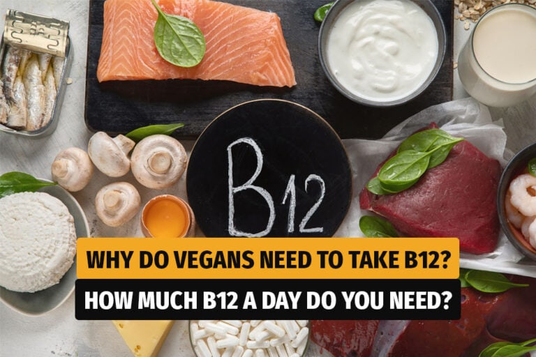 Why do vegans need to take B12 suplements?