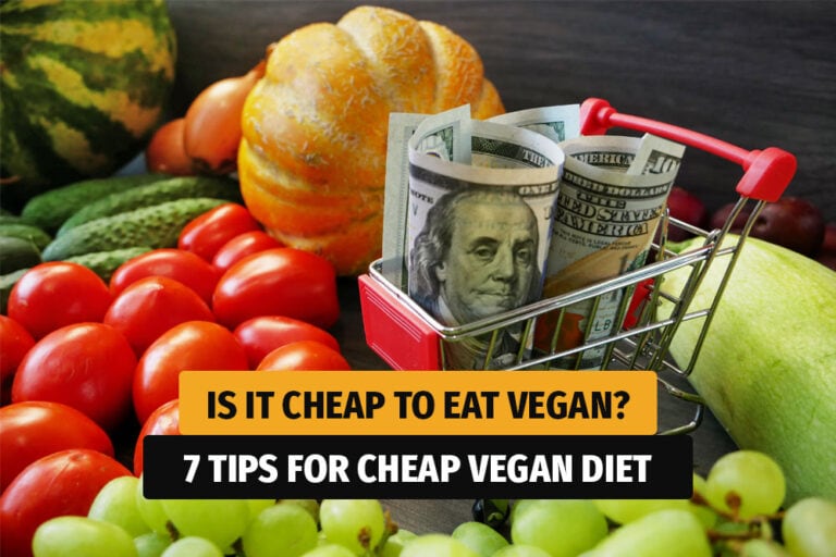 Is it cheap to eat vegan? 7 Tips for cheap vegan diet