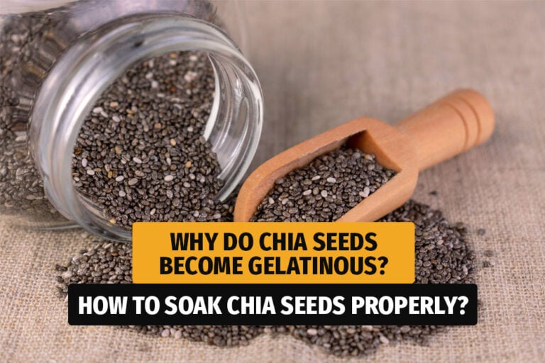 Why do chia seeds become gelatinous and how to soak them properly?