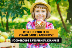 What do you feed vegan babies and kids?