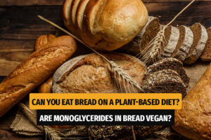 Can You Eat Bread on a Plant-based Diet
