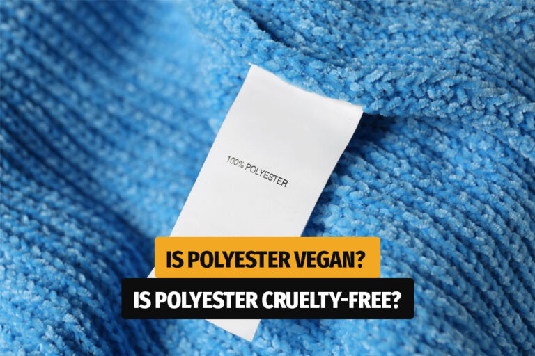 Is Polyester Vegan