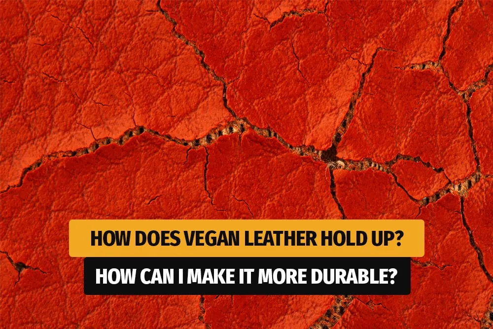 Does veganism Really help animals