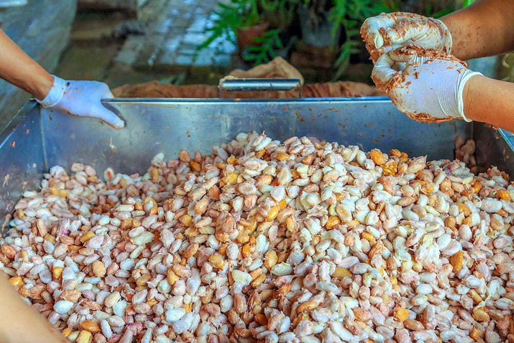 What Is Considered Processed Vegan Food