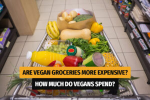 How Can Vegans Spend Less on Groceries