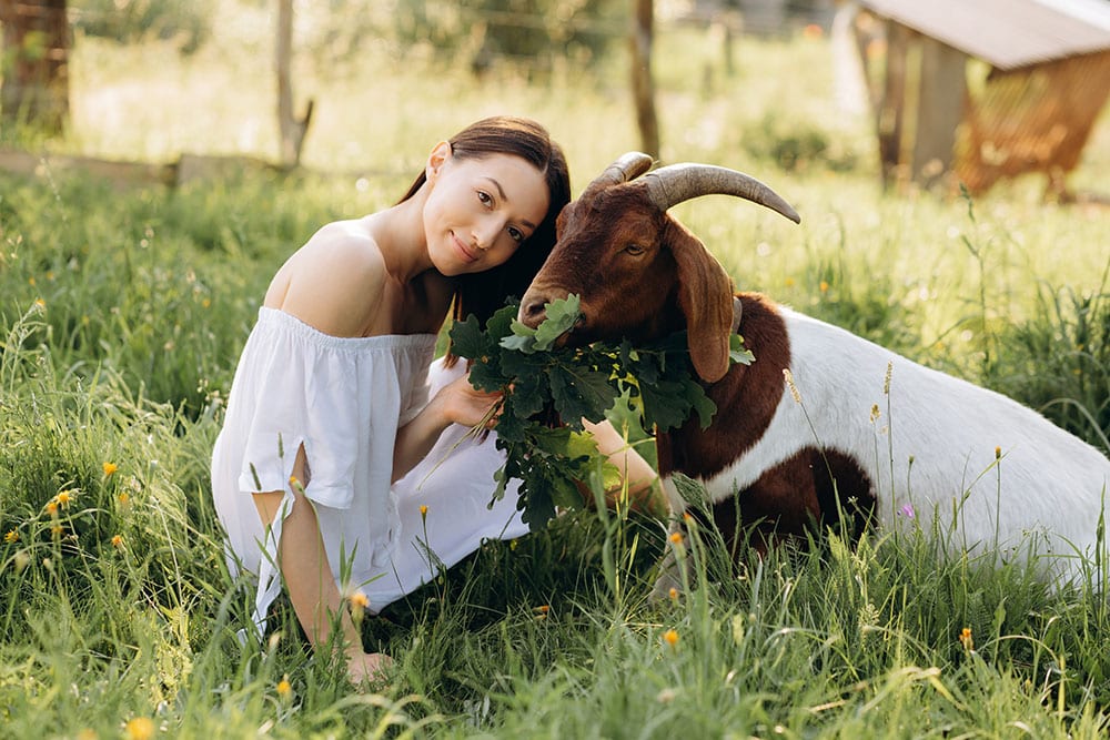 How did veganism begin - Impact on animals
