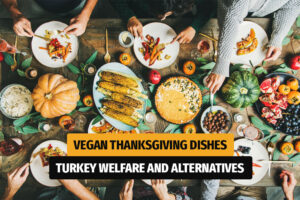 How to Survive Thanksgiving as a Vegan