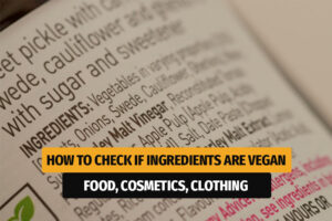 How to Check if Ingredients are Vegan