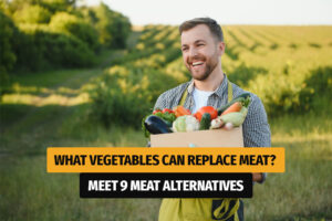 What Vegetables Can Replace Meat - Meet 9 Meat alternatives