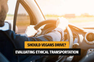 Should Vegans Drive